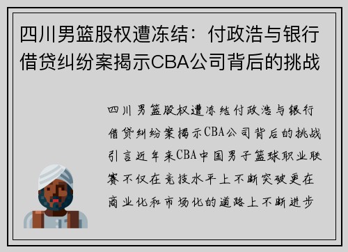 四川男篮股权遭冻结：付政浩与银行借贷纠纷案揭示CBA公司背后的挑战