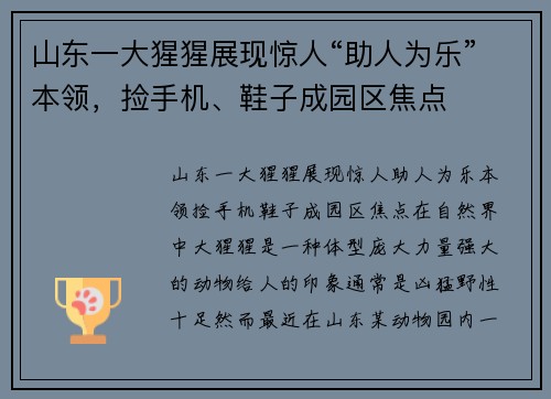 山东一大猩猩展现惊人“助人为乐”本领，捡手机、鞋子成园区焦点