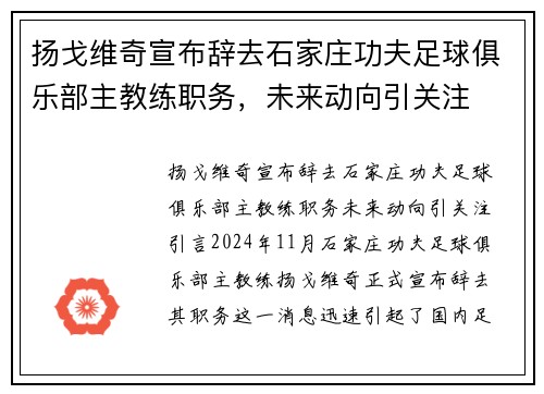 扬戈维奇宣布辞去石家庄功夫足球俱乐部主教练职务，未来动向引关注